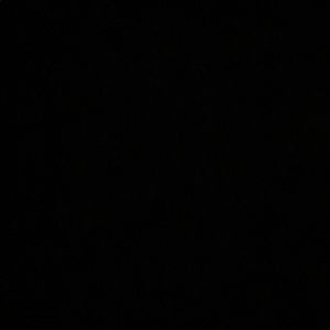 Meet your Posher, Kylee